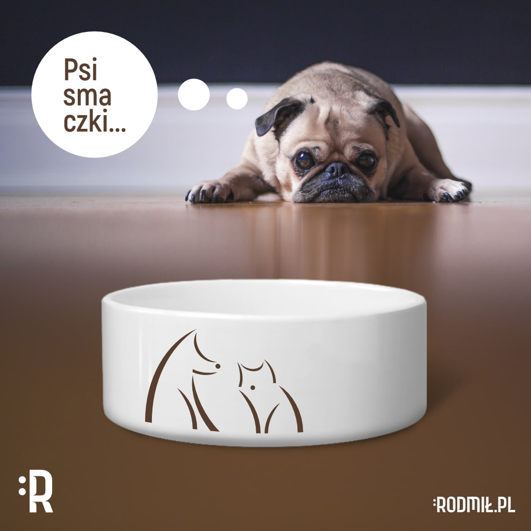 Projekt graficzny logo firmy Cat&Dog na miseczce dla psa na tle leżącego psa.