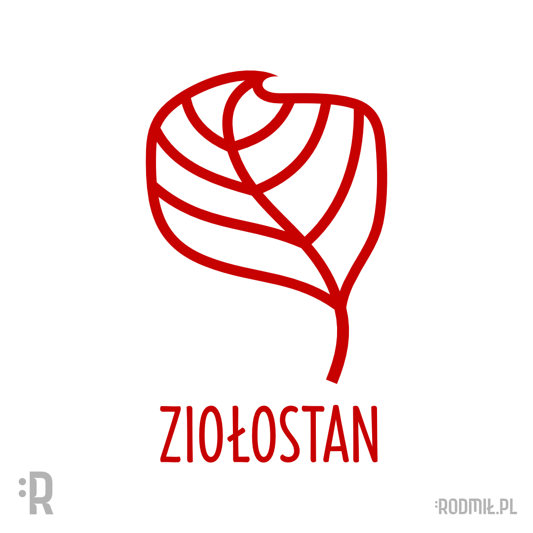 Projekt graficzny nadruku na koszulkę z konturowym czerwono-białym liściem w kształcie Polski i napisem ZIOŁOSTAN.