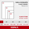 Tabela rozmiarów plakat pionowy A1, A2, A3, A4. Tabela rozmiarów plakat pionowy A1, A2, A3, A4.